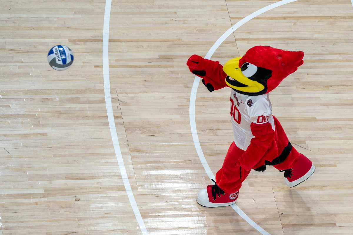 Reggie Redbird tweet media