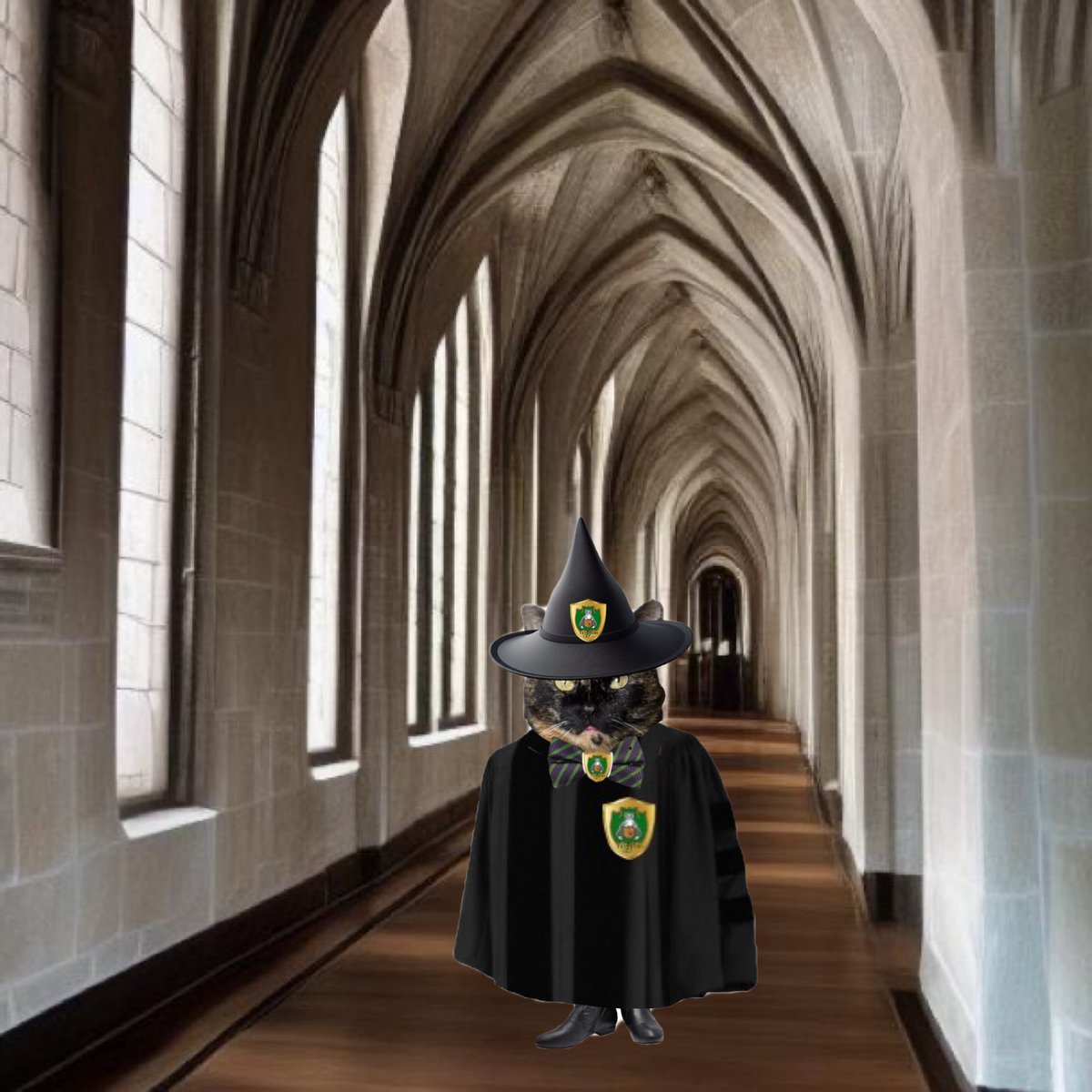 GOOSE HONK #mogwarts please welcome Biscuit <a href="/Biscuit_Meow/">Biscuit😻🐦🐾💕</a> who's joining us in Wigglin. We are very delighted to have her in our team 😺 Professor Madeye 🐈‍⬛👁️🐾👜 #wigglin <a href="/TortoiseGatsby/">The Great Gatsby</a>