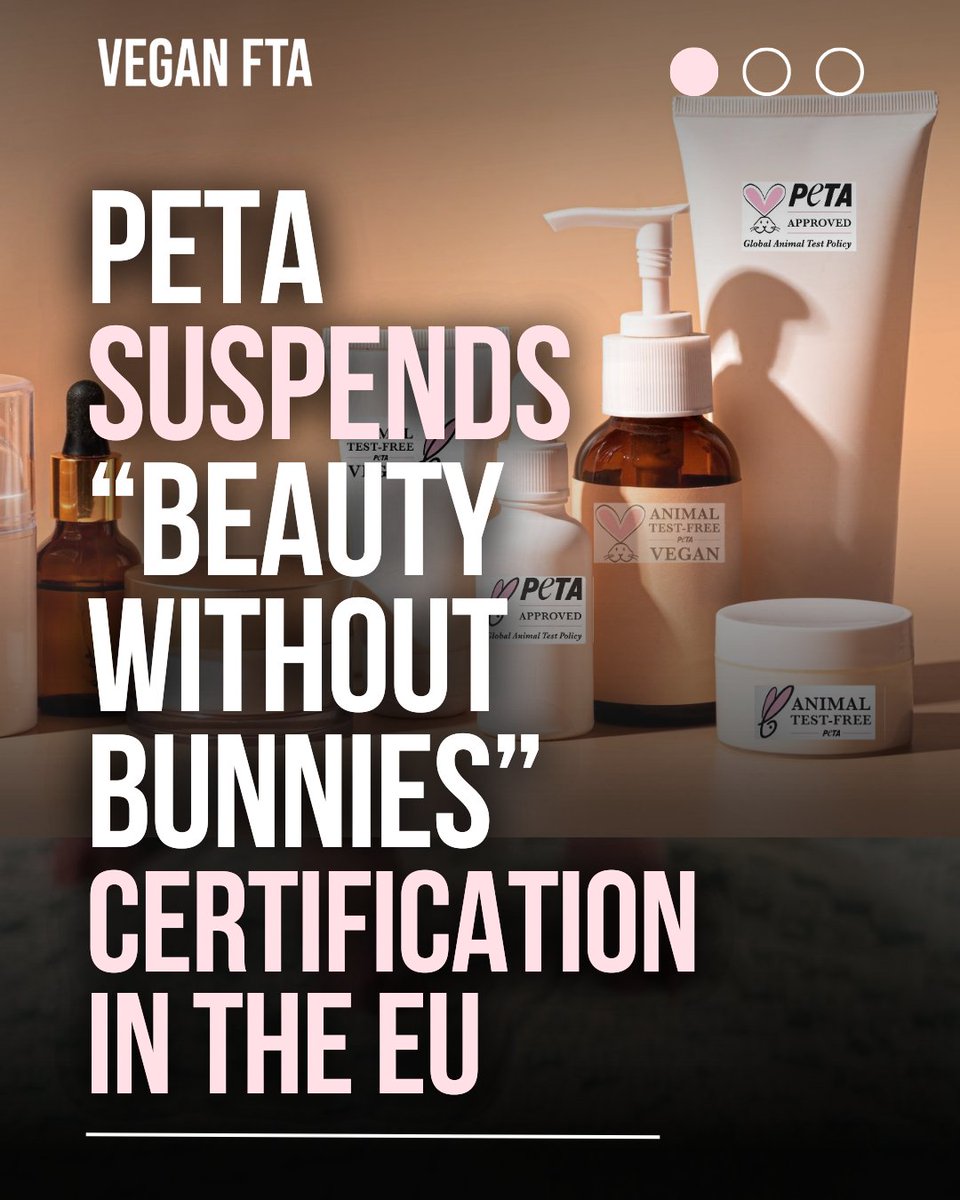 teamveganfta's tweet image. PETA suspends its cruelty-free “Beauty Without Bunnies” programme in EU countries where a legislative loophole allows animal tests for cosmetics under EU chemical safety rules. 🐇

👉 Learn more: veganfta.com/articles/2025/…

#crueltyfree #animaltesting #shopcrueltyfree #peta #vegan