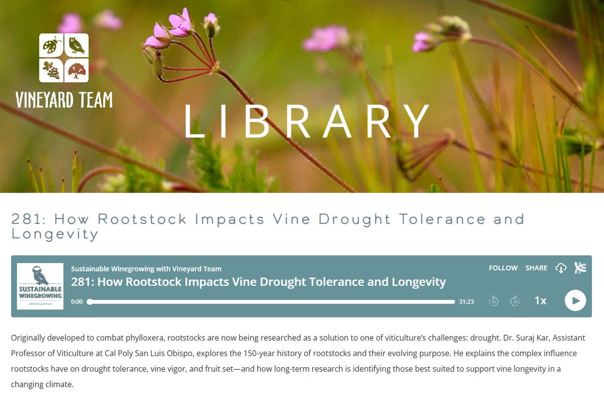 GrapeResearch's tweet image. Rootstocks determine grapevines&apos; soil-related traits, says @CalPoly vit professor Suraj Kar. Drought tolerance can be a direct function of root volume or an indirect result of the signaling hormones like abscisic acid (ABA) they synthesize. #graperesearch tinyurl.com/y7d2p5c5