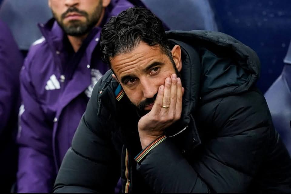 عشاق مانشستر يونايتد tweet media