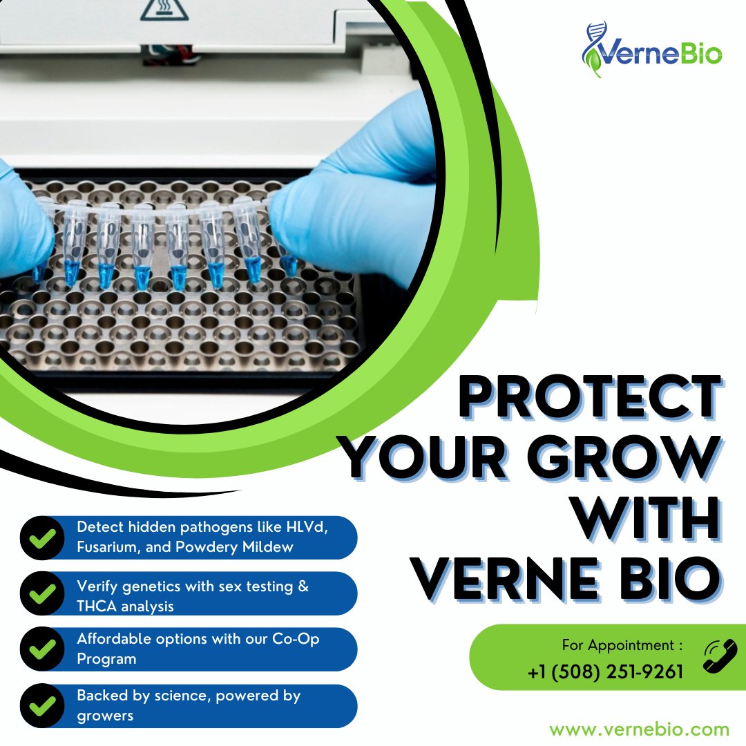 VerneBio's tweet photo. Prevention is the key to plant health.

🔍 Detect HLVd, Fusarium, Powdery Mildew
🧬 Verify genetics (sex testing + THCA)
🤝 Affordable Co-Op Program
🔬 Backed by science, powered by growers

👉 https://t.co/sC7pVvbn6J https://t.co/znW07Sfu3w