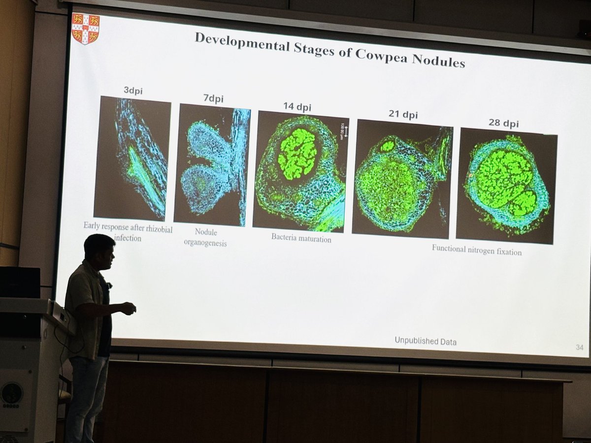 Prashant Rao tweet media