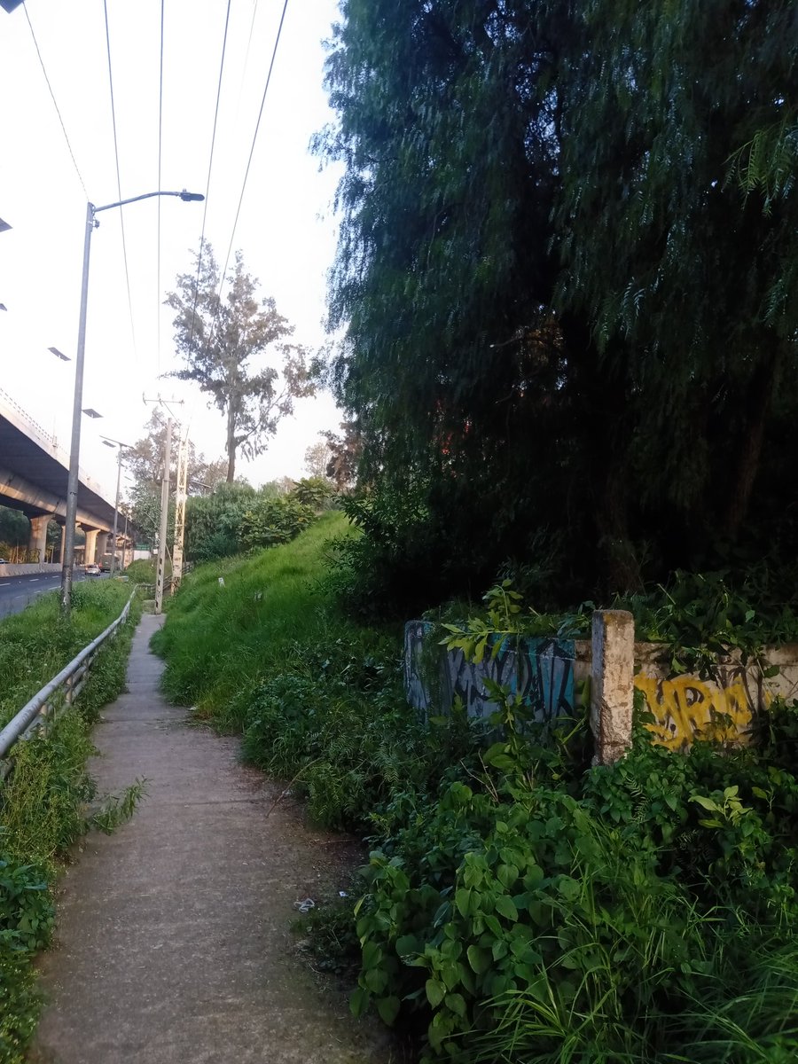 AhmedTSaab's tweet photo. @CAPUFE Gracias, porque se torna peligroso tener piedras en la autopista y más en días lluviosos, así mismo reportar la poda del andador qué está en el kilómetro 20 +800 al kilómetro 21 https://t.co/94NtK0L6E6