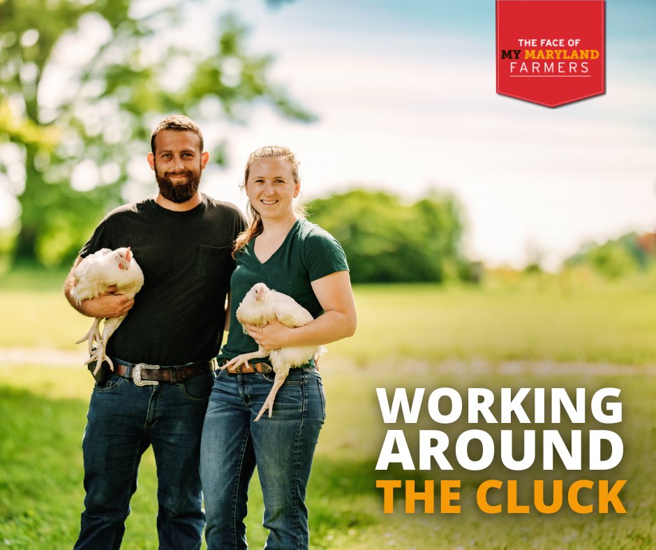 Farming is in Emmy Dallam Beavers’ blood. As a 10th-generation farmer, she now runs Homelands Poultry with her husband, Lucas. They specialize in raising Cornish Cross chickens. bit.ly/42aq5By #MyMdFarmers #NationalChickenMonth