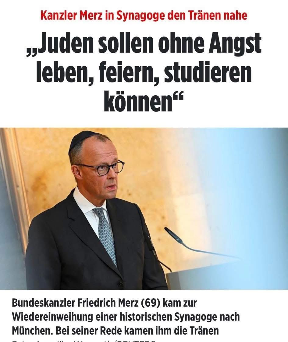 malca goldstein-wolf tweet media