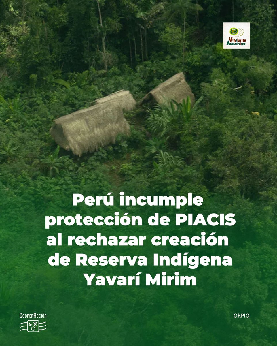 🔴 #PIACI

Estado peruano rechazó la creación de la Reserva Indígena Yavarí Mirim. La decisión incumple con la obligación de proteger a los pueblos indígenas en situación de aislamiento (PIACI), dejando su territorio vulnerable a actividades ilegales.

 🔗 bit.ly/47L9wAC