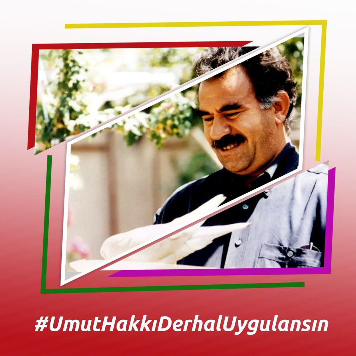 DBP Kadın Meclisi tweet media