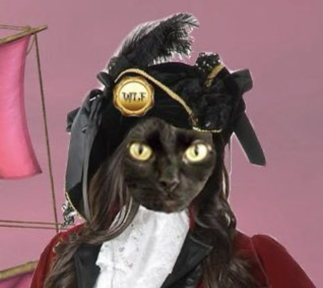 Kat_Nagel's tweet photo. @kittehdaboi @RealFakeGator @TinyPearlCat @kittehboi @Slinky_The_Cat @SquirtTheCat @TJS12145 @TiggyBean @Bea_Bells @CinniMini2 @TweetingTruman @indulgedfurries @timhoyt14 @3phibotticelli @OwenTheTonk @SeattleP @Katiebella2 @MariaPulk @SirLongpaw @Ben_da_Bestie @moothemousecat @HibiscusLynn @georgiarealist Will try to be there! https://t.co/3zxtjXA6hD