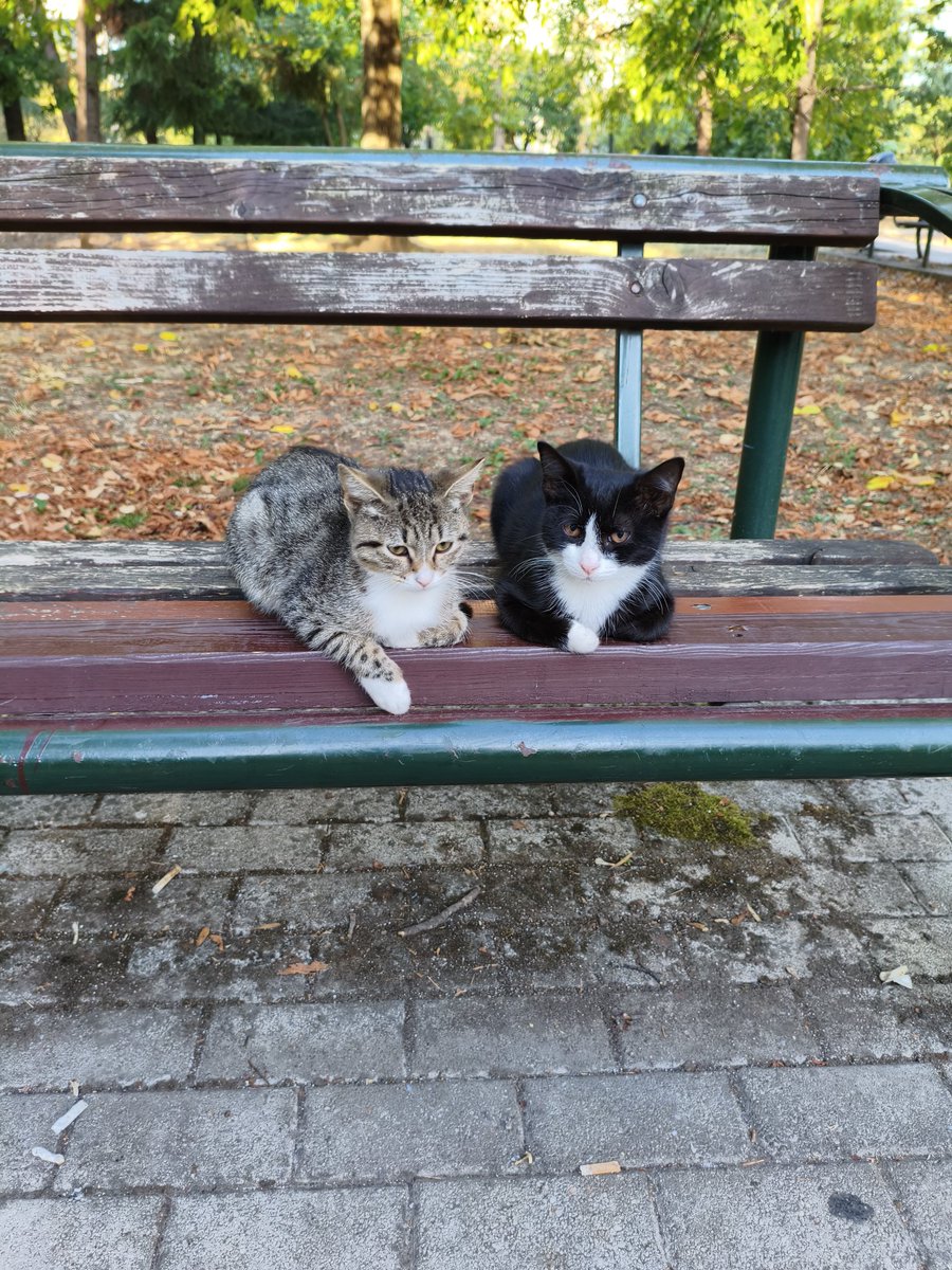 HumoroidM's tweet image. 