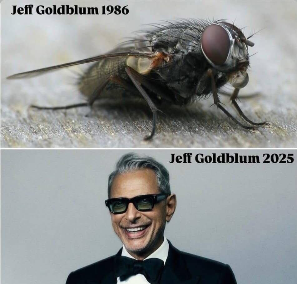 R E P L I C A N T tweet media