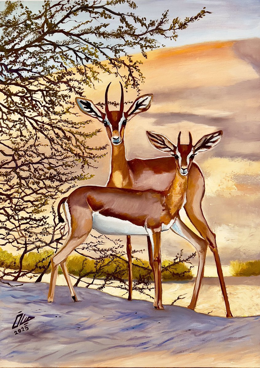 عمل جديد
ألوان زيت على كانفس 3D 
مقاس العمل 70x50