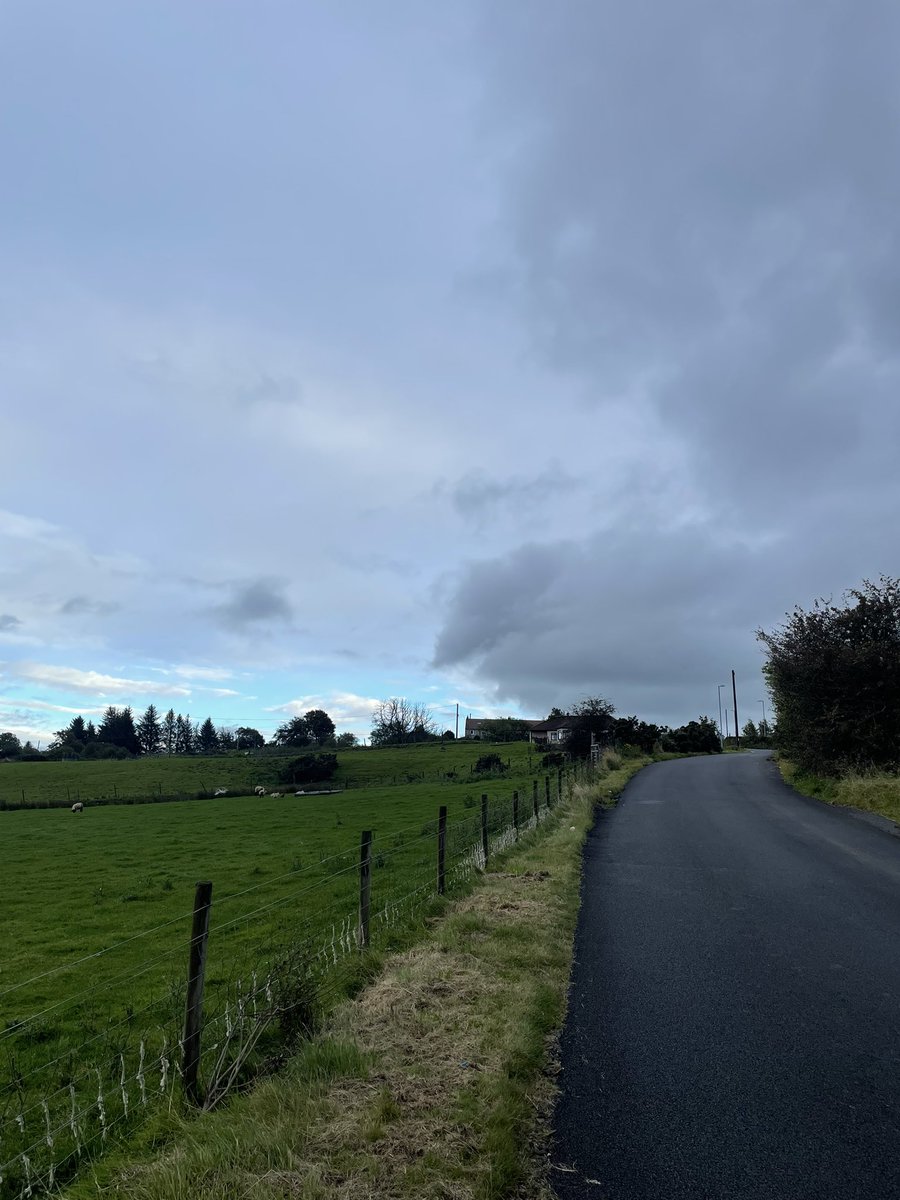 nullfields_'s tweet photo. Could live for a thousand years and never get sick of this climate and colour palette. Holding on through depressing saturated summers to arrive, wet and windswept, at the foot of a drizzly lane. https://t.co/drYYjESVkK