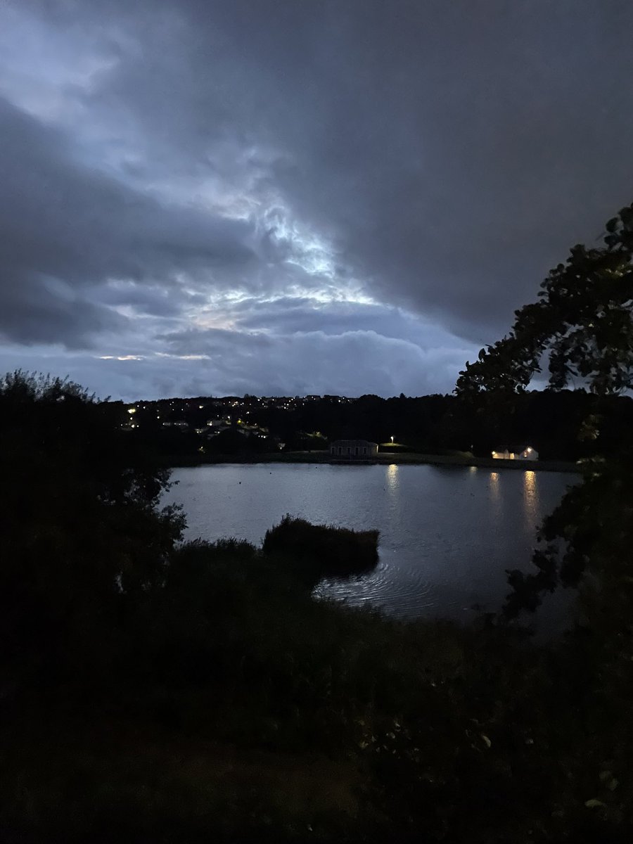 nullfields_'s tweet photo. Could live for a thousand years and never get sick of this climate and colour palette. Holding on through depressing saturated summers to arrive, wet and windswept, at the foot of a drizzly lane. https://t.co/drYYjESVkK