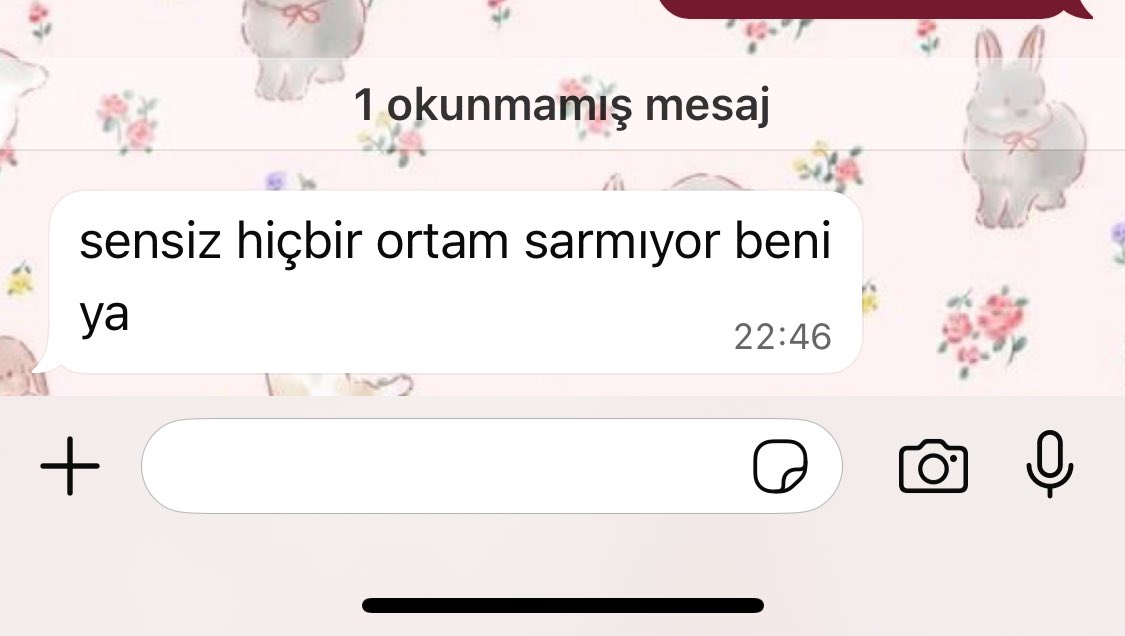 iliskinin ulastigi en guzel evredir mesela
