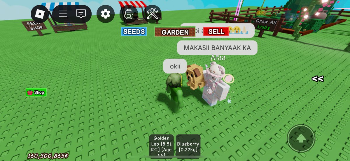 thisbarac's tweet photo. pet age 20-30 🕸️ https://t.co/vHmgR0qTYg