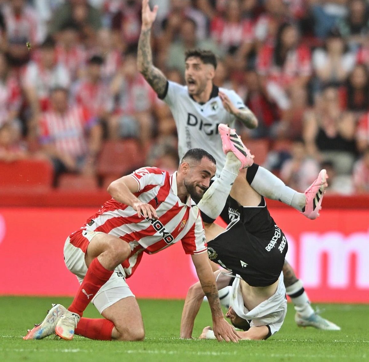 Lucas Perrin tweet media