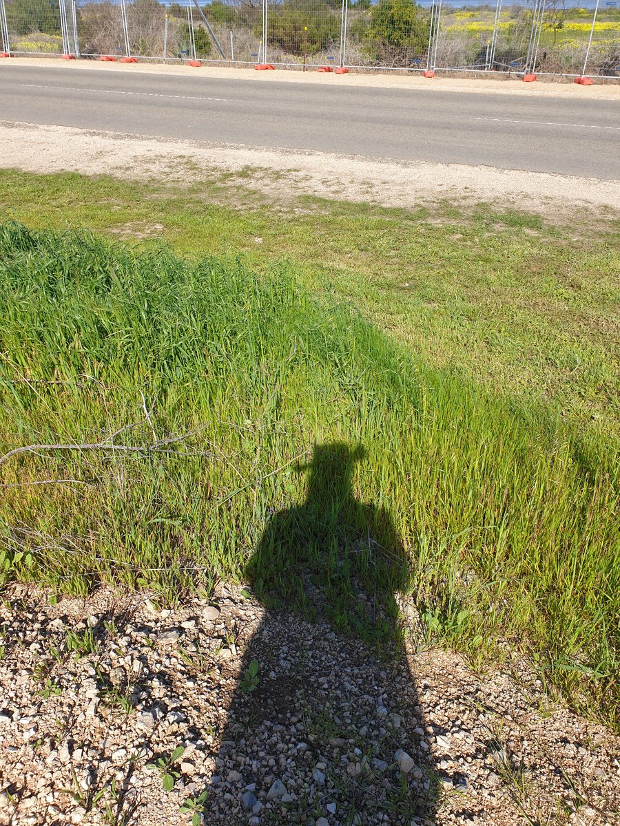 heltweet's tweet image. Good morning
#DailyWordleClub
#TalkingTuesday
A cool morning
&amp;amp; I do think that Winter has gone
Wordle was a little obscure today
Average 4
That's ok
#Walk
#Fast
#BeKind
#Wordle1550 4/6
🟨⬜⬜🟨⬜🕊
⬜🟨⬜🟩🟨🌱
⬜🟩🟨🟩🟩🙃
🟩🟩🟩🟩🟩💃
Good luck
#SayHelloInThere
#Stretch
#Give