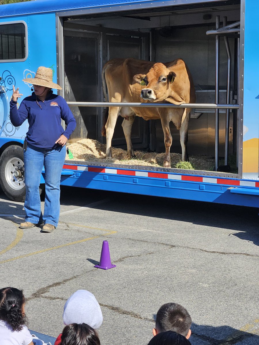 PinewoodEEC's tweet photo. We brought the FARM to Pinewood EEC. The mobile dairy classroom visited for an engaging assembly featuring a real dairy cow named Moochi, who taught students how milk and dairy foods were made &amp; how they contribute to healthy eating. @LASchoolsNorth @Kelly4LASchools https://t.co/FAXFHeHuLa