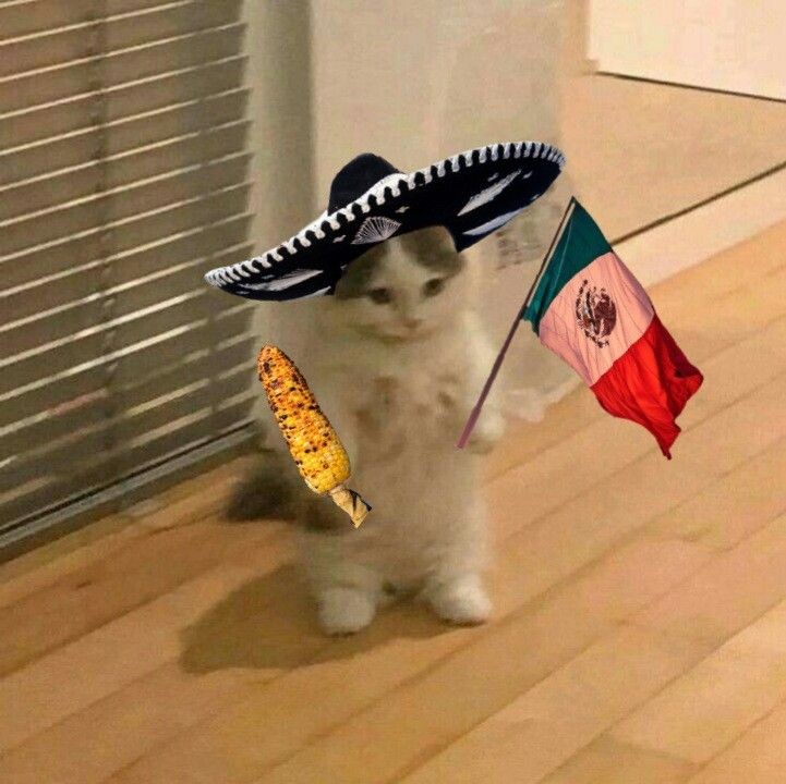 ¡VIVA MÉXICO!