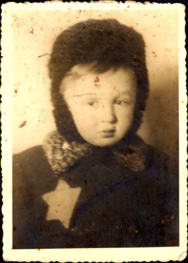 Auschwitz Exhibition tweet media