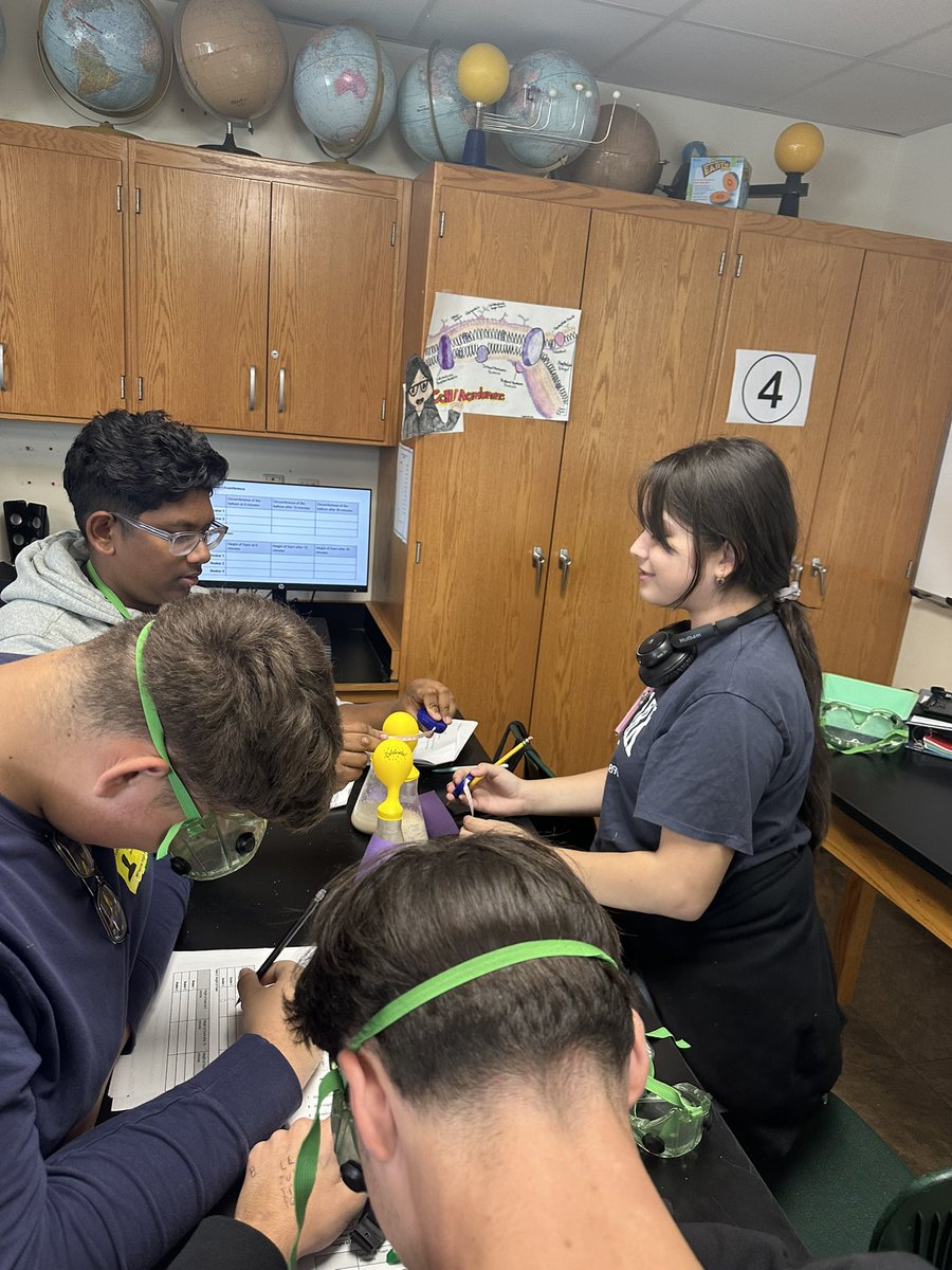 Caitlin Anetrella tweet media