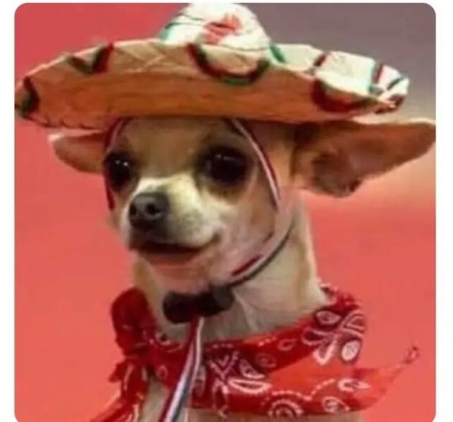 “Ni vayas a empezar a organizar la fiesta mexicana”
Yo: