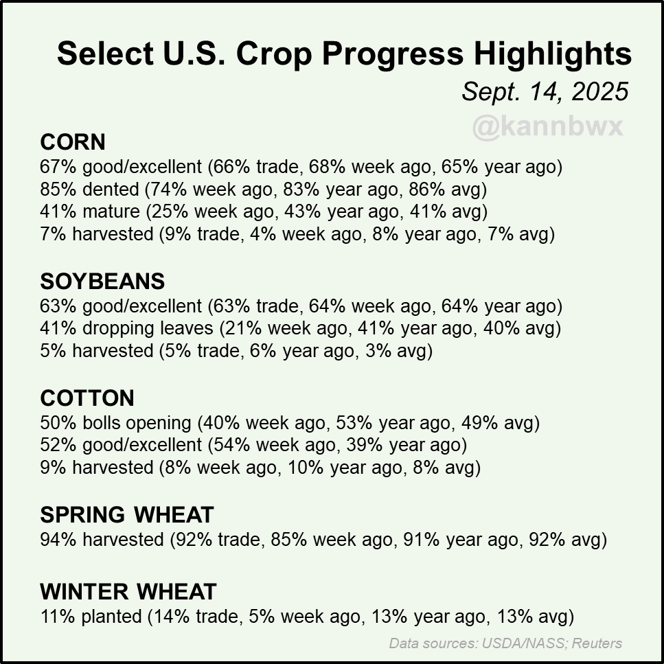 Karen Braun tweet media