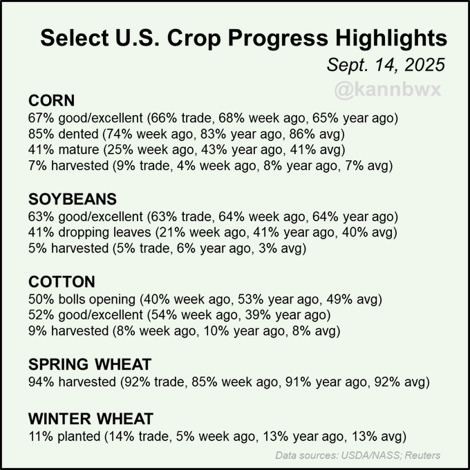 Text listing U.S. crop progress highlights for September 14, 2025. Corn data shows 67% good/excellent, 85% dented, 41% mature, 7% harvested. Soybeans show 63% good/excellent, 41% dropping leaves, 5% harvested. Cotton shows 50% good/excellent, 9% harvested. Spring wheat shows 92% harvested, winter wheat shows 11% planted.