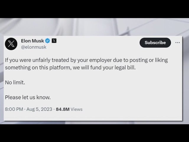 The Vidiot tweet media