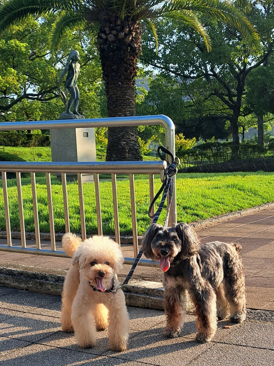 昨日は久々に二匹を公園に連れて行ってきました🐶🎵

最近忙しくなかなか連れて行ってあげれなかったから💦二匹は大喜びで
クンクン匂いを嗅ぎまわって🎵
色々な犬にも会えて楽しいみたいで
二匹満面の笑み🎵
なかなか帰ろうとせずでした😅

もう少ししたら涼しくなるからドッグランにも行けるかな😊