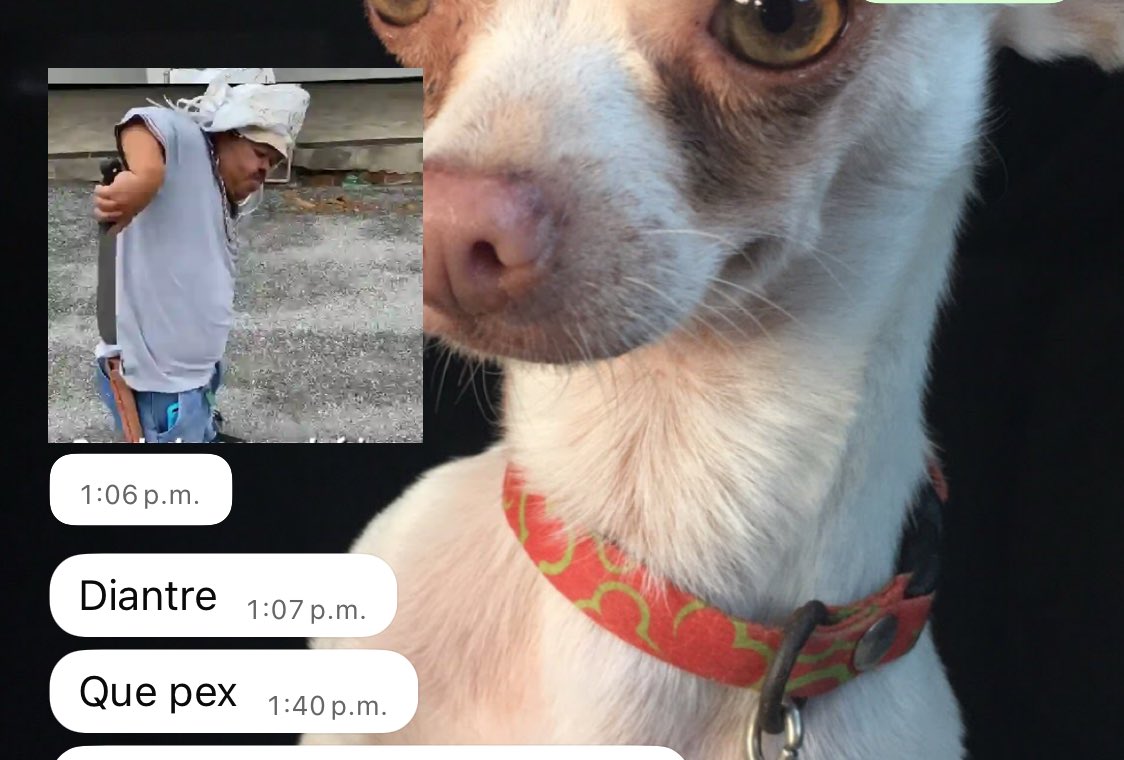 danirahernandez's tweet photo. No mis compañeros de trabajo hablándome en tabasqueño jajajaja https://t.co/BTNwIpsQEQ