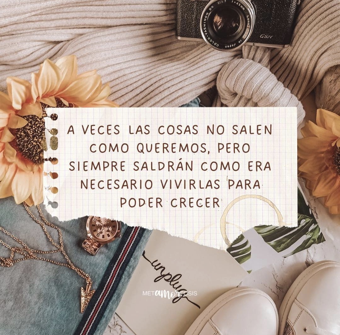 MarSaccoccia's tweet photo. "Solo aquellos árboles cuyas raíces han tocado el infierno, pueden crecer hasta el cielo."

Carl Jung. https://t.co/tAabgWbTRX