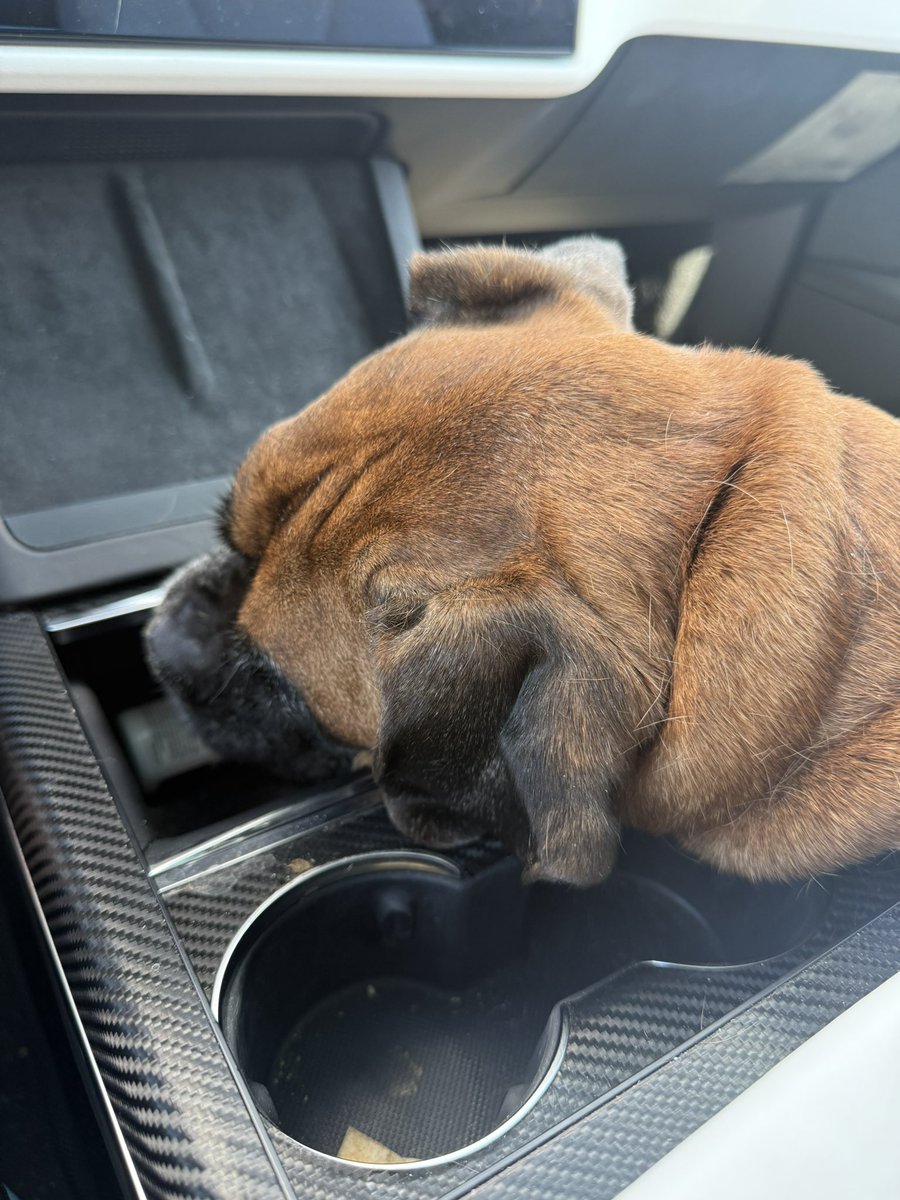 Dave Kennedy tweet media