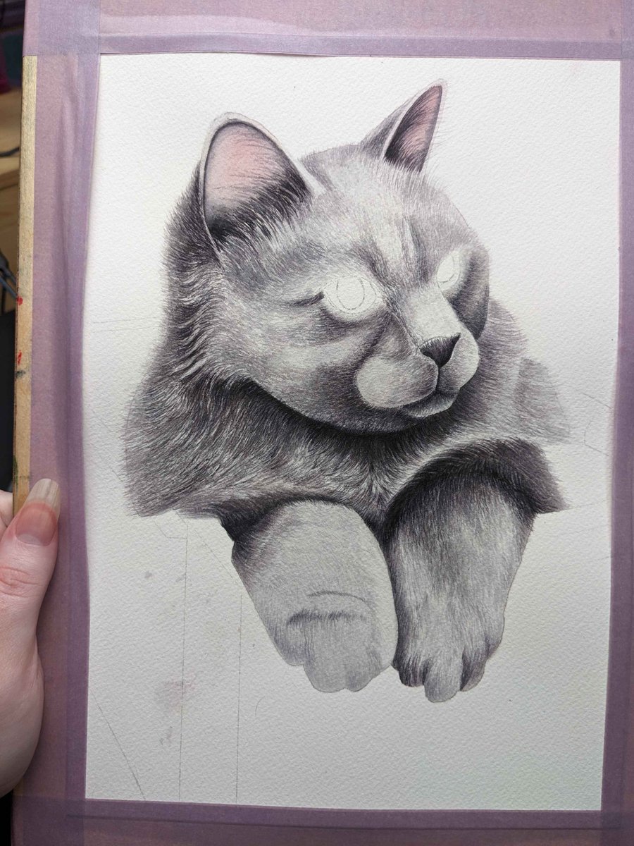 Random_Violette's tweet photo. Live now! Continuing work on the watercolour kitty portrait! Our grey buddy is getting so fluffy 😊

https://t.co/mfTwiBTI4v

#twitchartist #art #traditionalart #watercolour #watercolor #smallstreamer #SupportSmallStreamers https://t.co/k4JEo6eofq