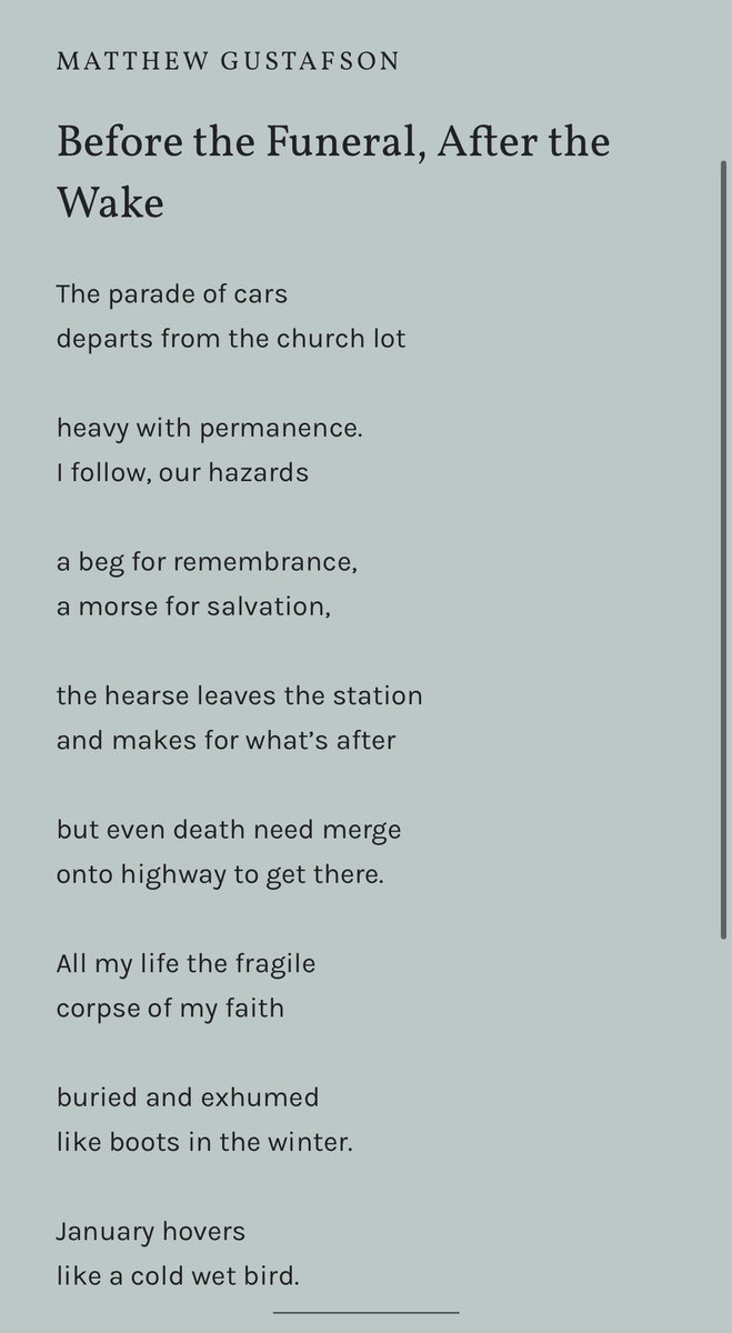 Matthew Gustafson tweet media