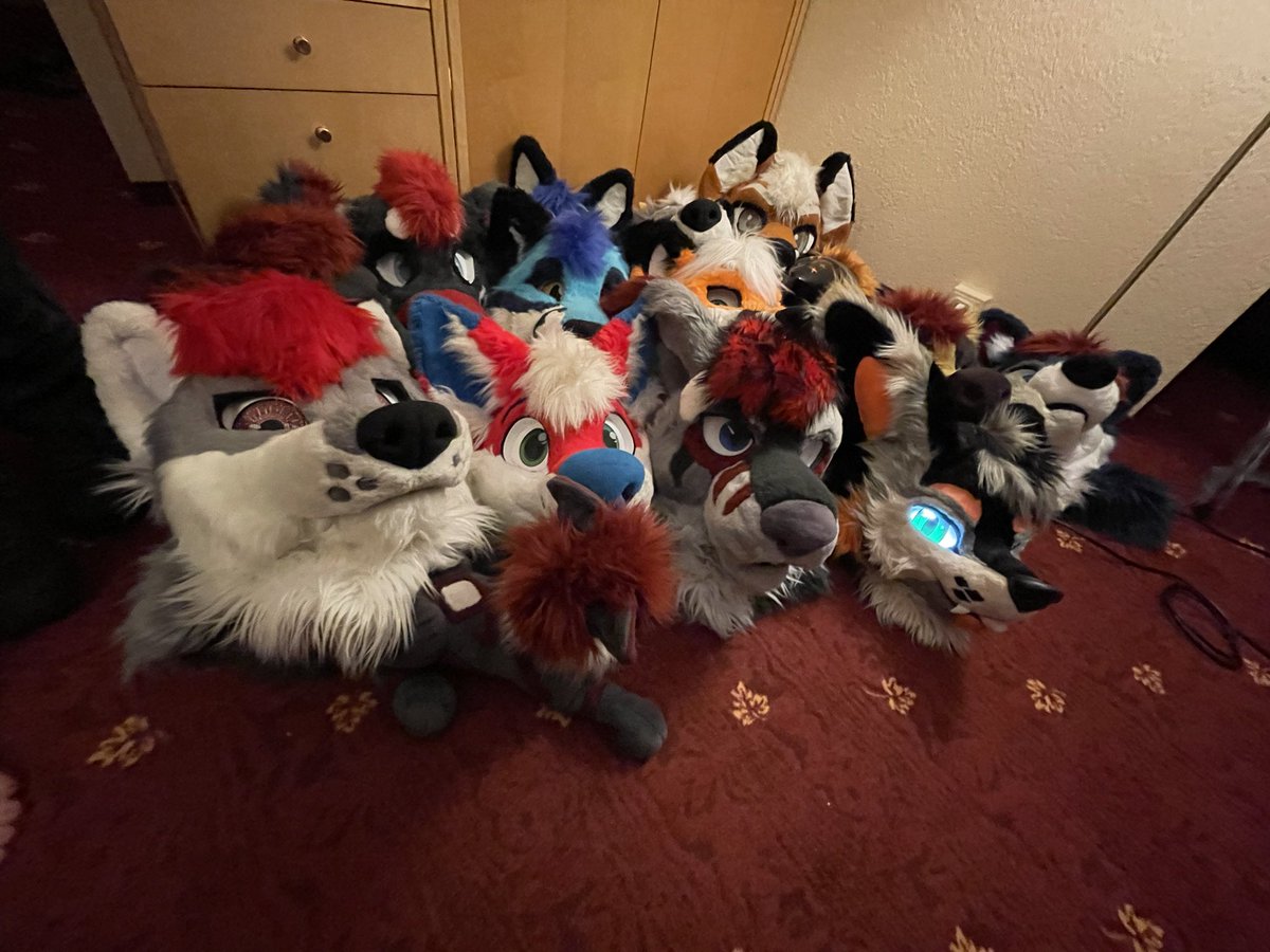 Kacec The Fox 🇩🇪 tweet media