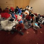 Photo by Kacec The Fox 🇩🇪 (@KacecFox)