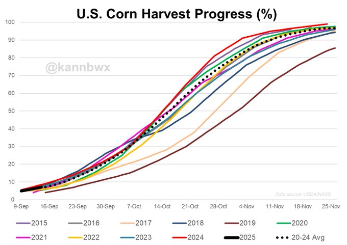 A line graph showing U.S. corn harvest progress percentages over time from September to November. Multiple colored lines represent different years (2016, 2017, 2018, 2019, 2020, 2022, 2023, 2024, 2025) and an average trend. The y-axis ranges from 0 to 80%, and the x-axis marks dates from 1-Sep to 25-Nov. A watermark "@kannbwx" is present.