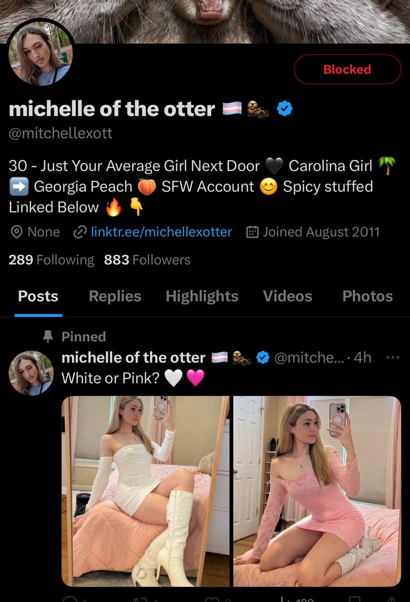 michellexotter's tweet photo. Can you guys please report this account @mitchellexott it isn’t me and is actively scamming people. Thanks X for giving the scammer a check mark btw smh 😑 https://t.co/nM93BbZbuR