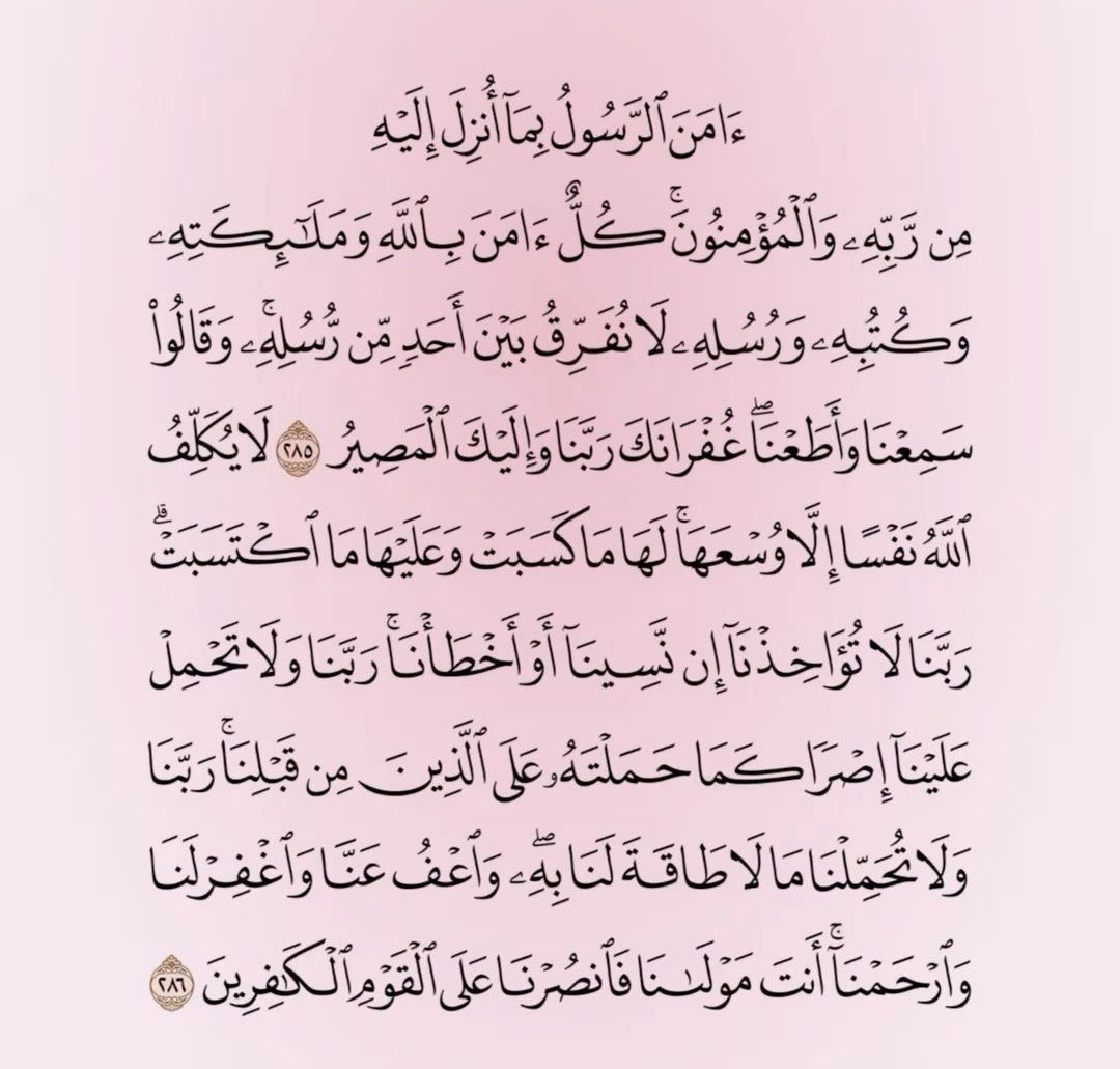 شهـد tweet media