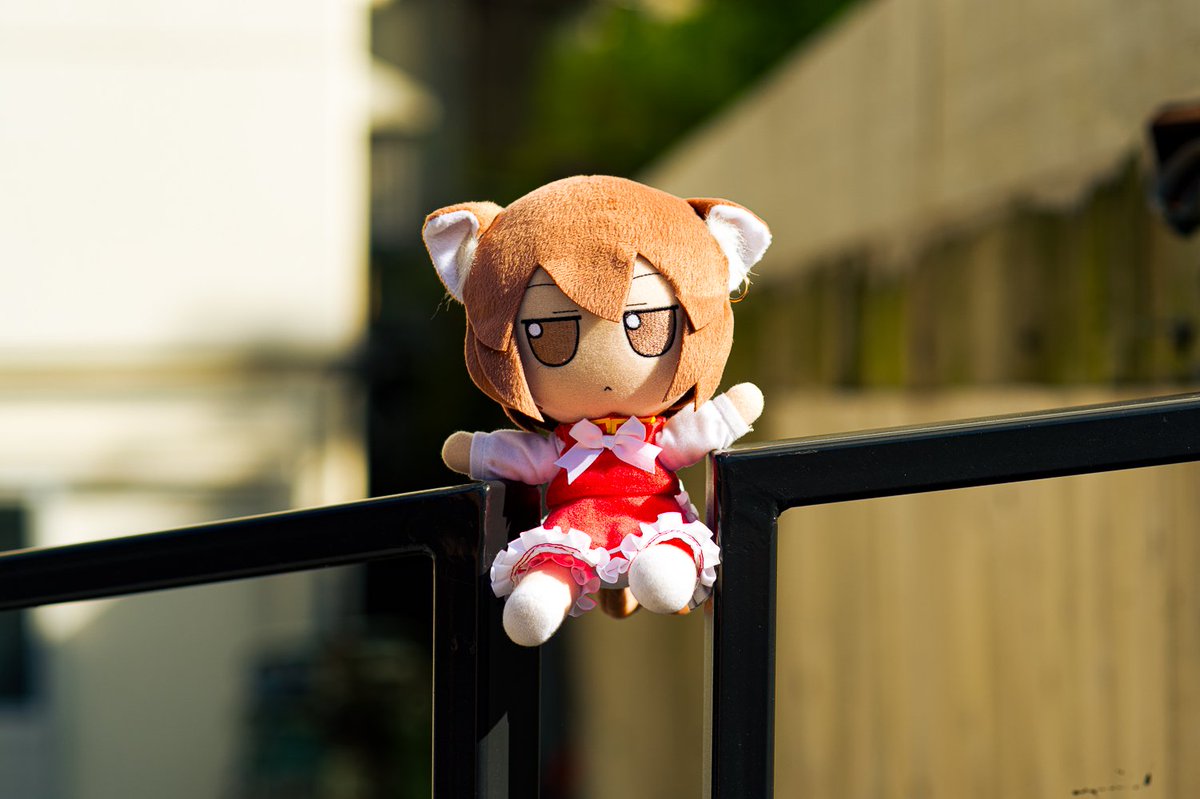 Are you able to protect your plushies, anon?