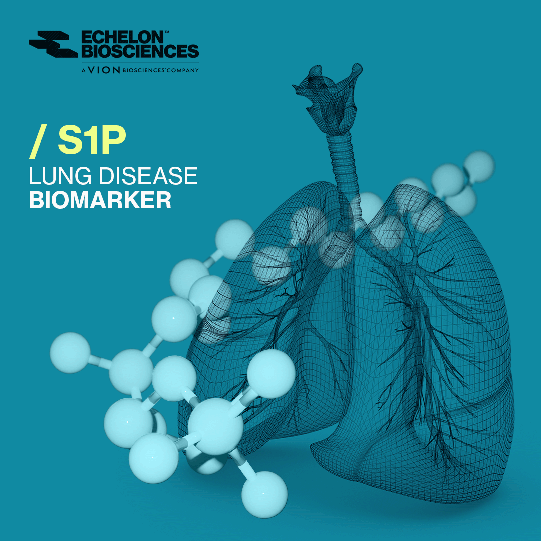 👉 S1P: A Key Biomarker for Lung Disease

🔦 Explore our S1P research tools:
/ S1P ELISA Kits
/ S1P Lyase Fluorogenic Substrate
/ S1P Beads
echelon-inc.com/?s=s1p+assay

Learn more: echelon-inc.com/s1p-as-a-bioma…

#S1P #Lipids #LungDisease