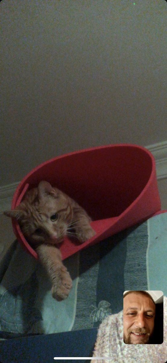 Sağlımklı yaşam ve de omerthing