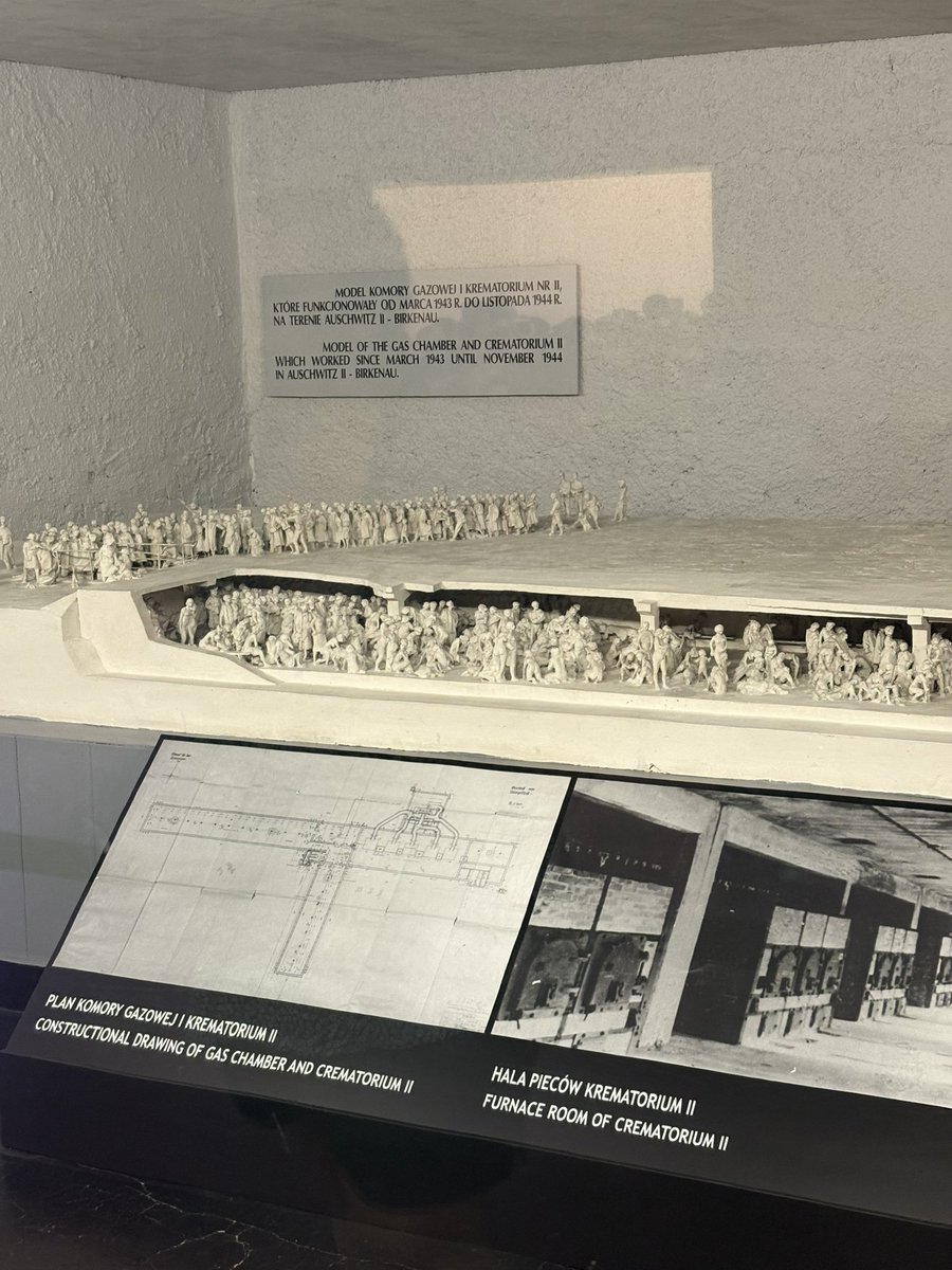 Visited Auschwitz while in Poland and left emotionally devastated by the horrors carried out. 

Truly astounded there can be people nowadays carrying on with Nazi ideologies when the evidence of how disgraceful they acted is here for all to see.