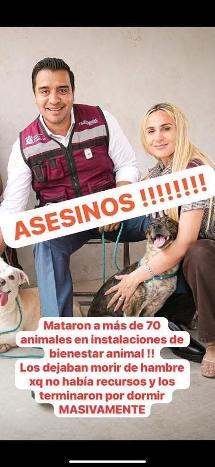 <a href="/JesusNavaNL/">Jesús Nava</a>