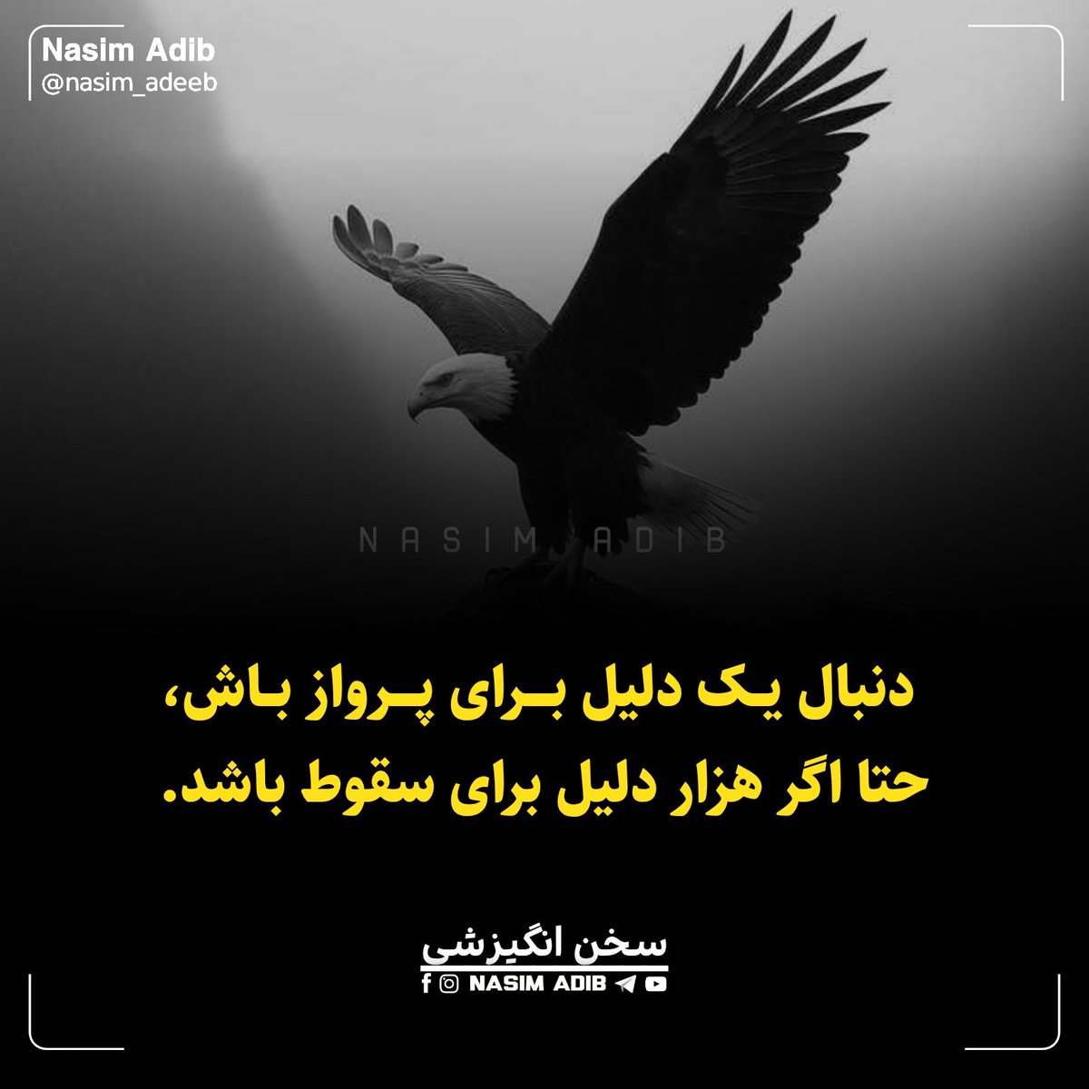 Nasim Adib (@nasim_adeeb) on Twitter photo 