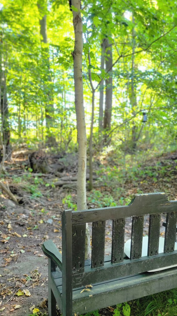 RebootRamblings's tweet image. Where most of the ideas are born. #thinkingspot