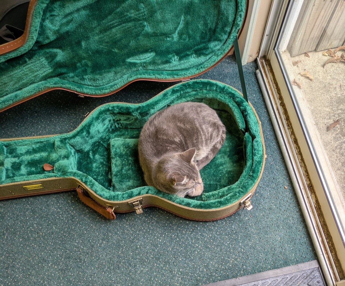 Staff bought us a new bed!