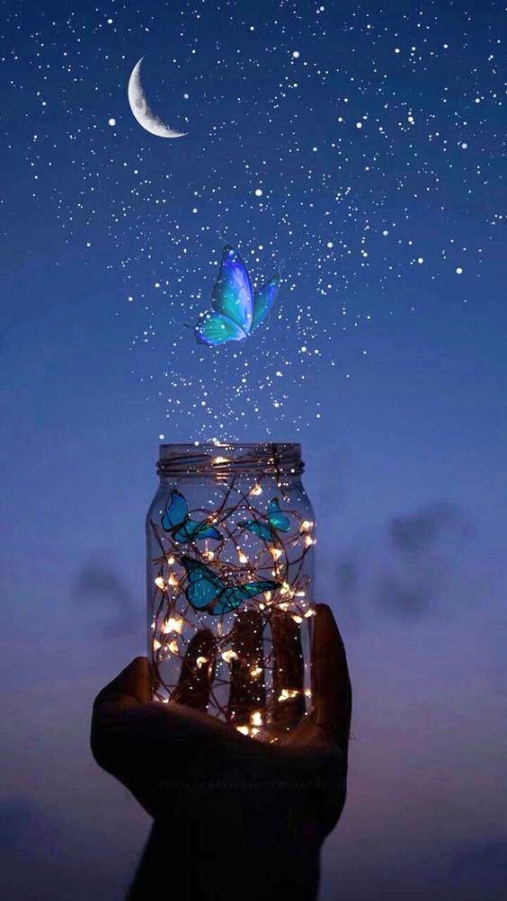 Man sieht die Sonne langsam untergehen und erschrickt doch,wenn es plötzlich dunkel ist. 

~franz kafka~

Ich umarme dich in tiefster Liebe. 

Gute Nacht, schlaf schön ✨️ 💫